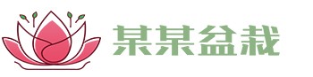 ky体育(中国)官方网站